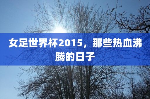 女足世界杯2015，那些热血沸腾的日子