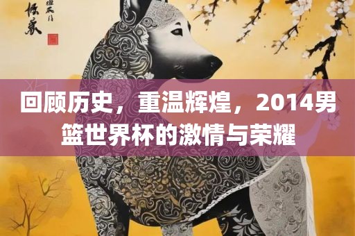 回顾历史，重温辉煌，2014男篮世界杯的激情与荣耀