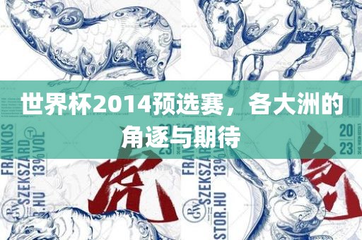 世界杯2014预选赛，各大洲的角逐与期待