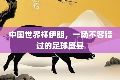 中国世界杯伊朗，一场不容错过的足球盛宴