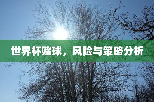 世界杯赌球，风险与策略分析眉山市正发家政服务有限公司