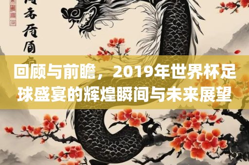 回顾与前瞻，2019年世界杯足球盛宴的辉煌瞬间与未来展望