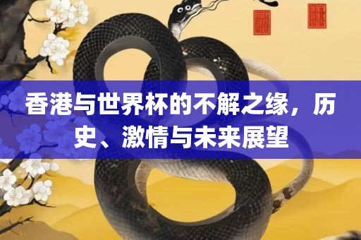 香港与世界杯的不解之缘，历史、激情与未来展望