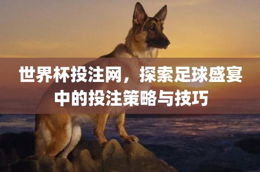 世界杯投注网，探索足球盛宴中的投注策略与技巧