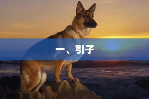 一、引子