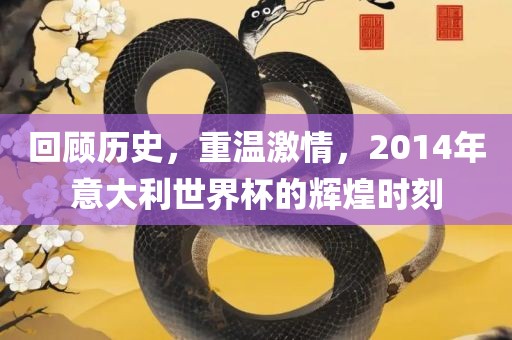回顾历史，重温激情，2014年意大利世界杯的辉煌时刻