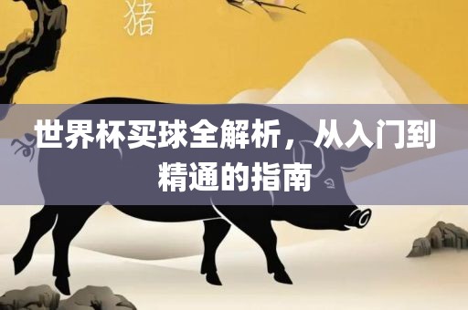 世界杯买球全解析，从入门到精通的指南眉山市正发家政服务有限公司