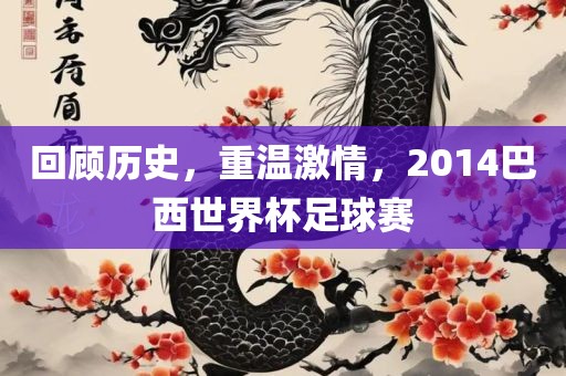 回顾历史，重温激情，2014巴西世界杯足球赛