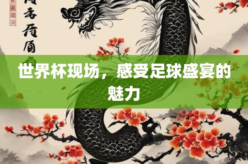 世界杯现场，感受足球盛宴的魅力