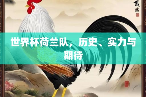 世界杯荷兰队，历史、实力与期待