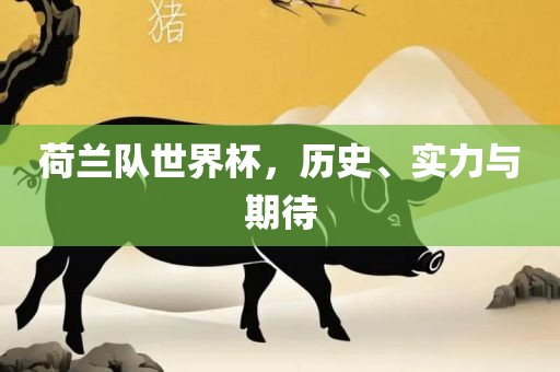 荷兰队世界杯，历史、实力与期待