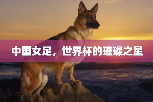 中国女足，世界杯的璀璨之星