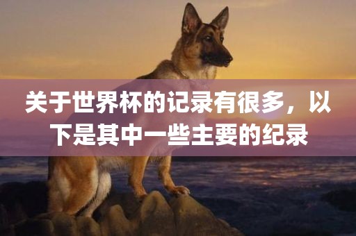 关于世界杯的记录有很多，以下是其中一些主要的纪录