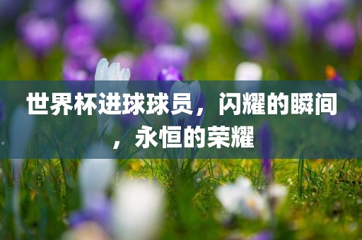 世界杯进球球员，闪耀的瞬间，永恒的荣耀