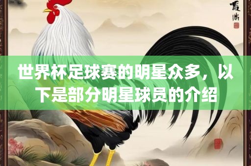 世界杯足球赛的明星众多，以下是部分明星球员的介绍