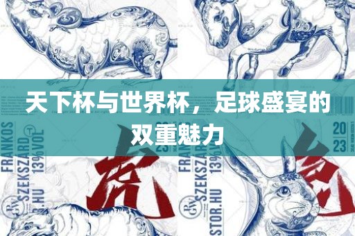 天下杯与世界杯，足球盛宴的双重魅力