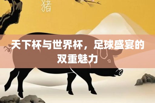 天下杯与世界杯，足球盛宴的双重魅力