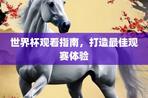世界杯观看指南，打造最佳观赛体验