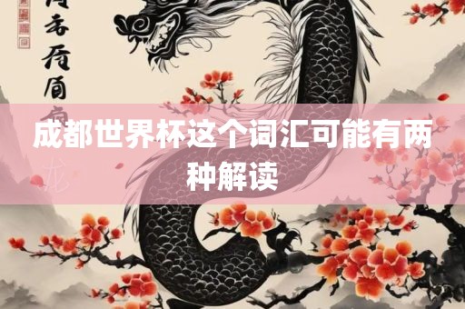 成都世界杯这个词汇可能有两种解读