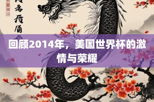 回顾2014年，美国世界杯的激情与荣耀