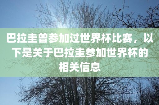 巴拉圭曾参加过世界杯比赛，以下是关于巴拉圭参加世界杯的相关信息