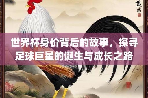 世界杯身价背后的故事，探寻足球巨星的诞生与成长之路