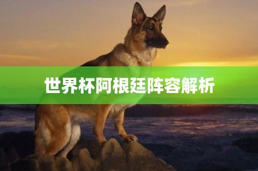 世界杯阿根廷阵容解析