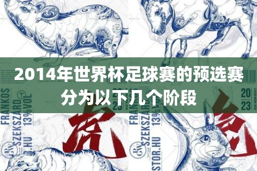 2014年世界杯足球赛的预选赛分为以下几个阶段