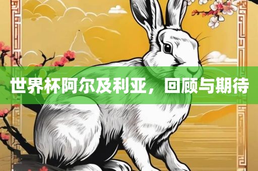 世界杯阿尔及利亚，回顾与期待
