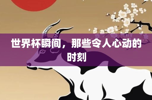 世界杯瞬间，那些令人心动的时刻