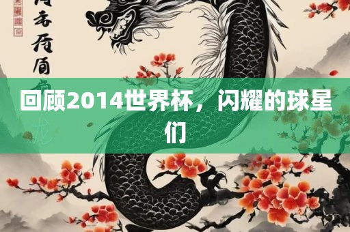 回顾2014世界杯，闪耀的球星们