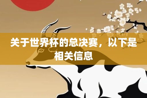 关于世界杯的总决赛，以下是相关信息