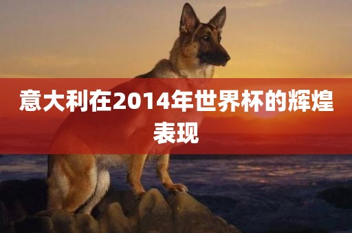 意大利在2014年世界杯的辉煌表现