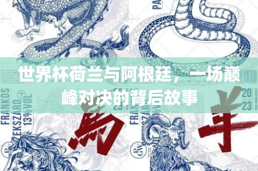 世界杯荷兰与阿根廷，一场巅峰对决的背后故事