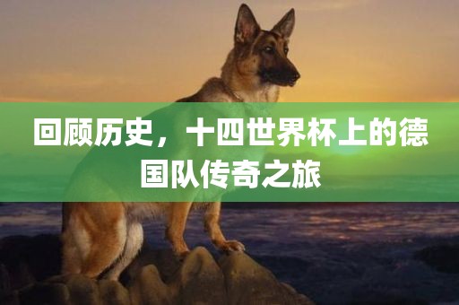 回顾历史，十四世界杯上的德国队传奇之旅