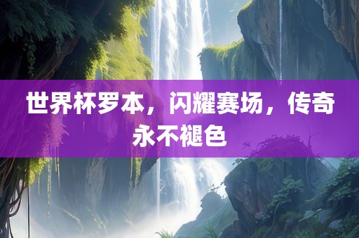 世界杯罗本，闪耀赛场，传奇永不褪色