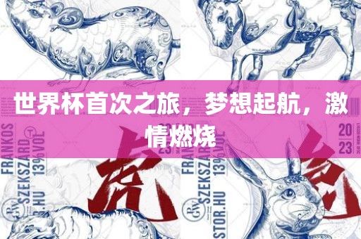 世界杯首次之旅，梦想起航，激情燃烧