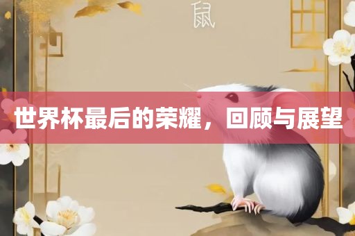 世界杯最后的荣耀，回顾与展望