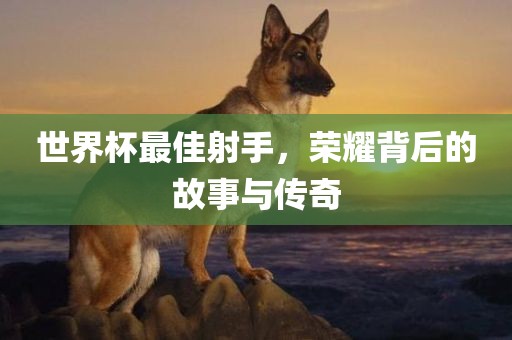 世界杯最佳射手，荣耀背后的故事与传奇