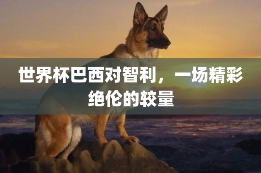 世界杯巴西对智利，一场精彩绝伦的较量
