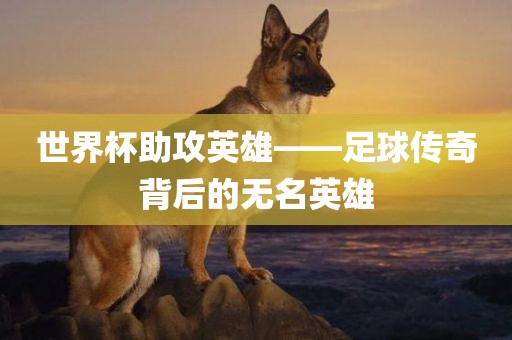 世界杯助攻英雄——足球传奇背后的无名英雄