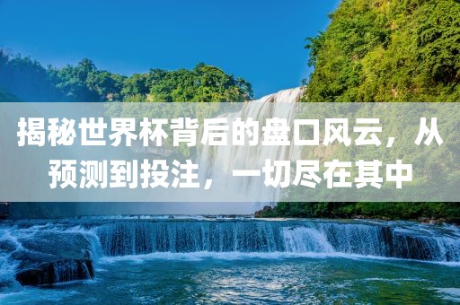 揭秘世界杯背后的盘口风云，从预测到投注，一切尽在其中