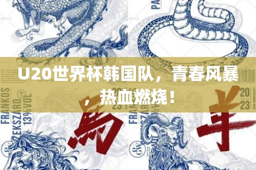 U20世界杯韩国队，青春风暴，热血燃烧！