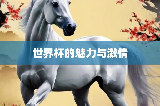世界杯的魅力与激情