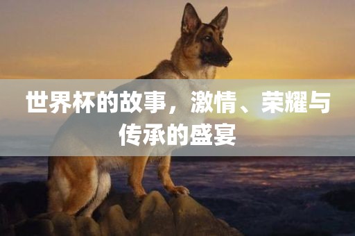 世界杯的故事，激情、荣耀与传承的盛宴
