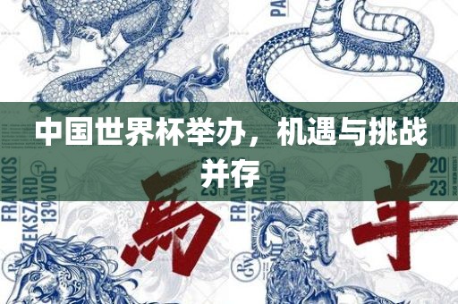 中国世界杯举办，机遇与挑战并存
