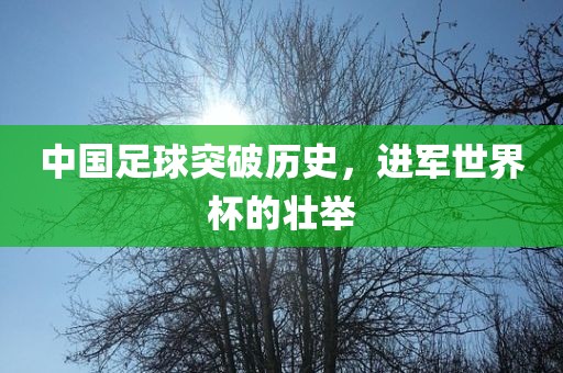 中国足球突破历史，进军世界杯的壮举