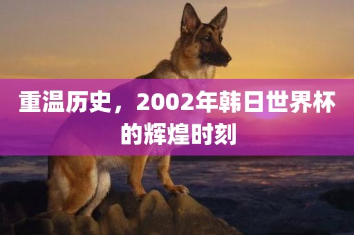 重温历史，2002年韩日世界杯的辉煌时刻