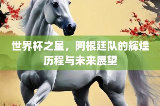世界杯之星，阿根廷队的辉煌历程与未来展望