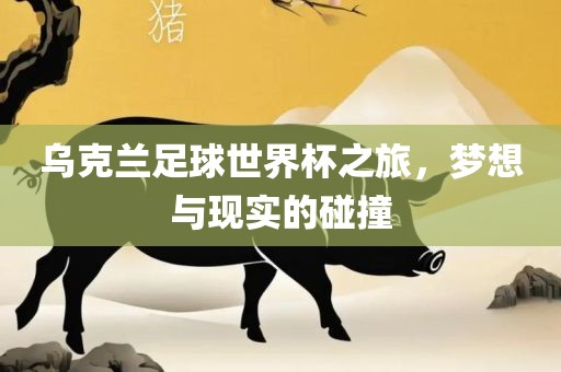 乌克兰足球世界杯之旅，梦想与现实的碰撞